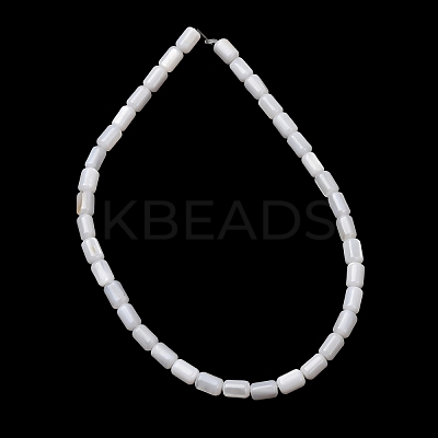 Natural Freshwater Shell Beads Strands SH-CBA2978-21A-1