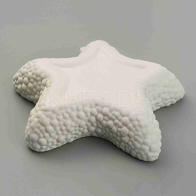 Starfish Shape Ceramic Jewelry Plate AJEW-WH0041-95B-1