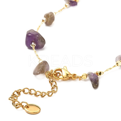 Natural Amethyst Chip Beaded Necklace for Girl Women NJEW-JN03708-01-1