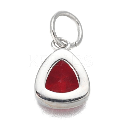 304 Stainless Steel Cubic Zirconia Pendant ZIRC-P080-B07-1