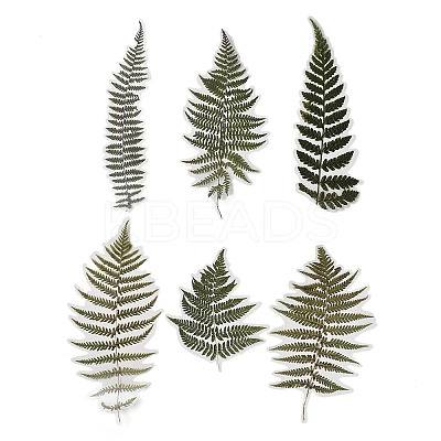 6Pcs Plant PET Adhesive Waterproof Stickers DIY-K074-01E-1