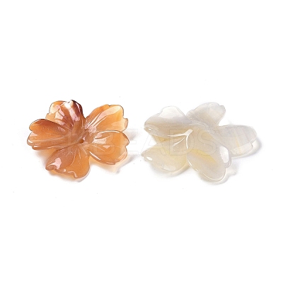 Natural Agate Butterfly Pendant G-Q164-20-1