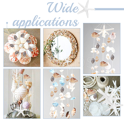 Natural Shell & Starfish Resin Cabochons Decorations SHEL-AR0001-13-1
