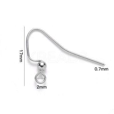 Tarnish Resistant 304 Stainless Steel Earring Hooks STAS-S111-010-1