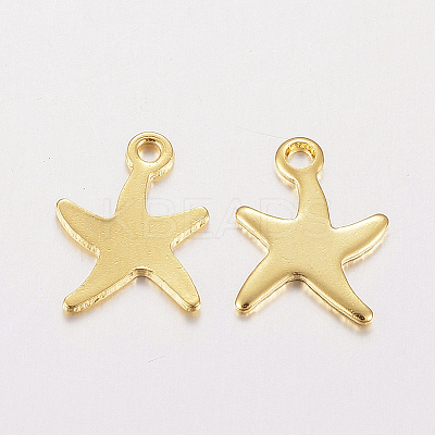 304 Stainless Steel Charms LS-X-STAS-F162-40G-1