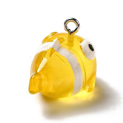 Marine Series Transparent Resin Pendants RESI-E031-02P-13-1