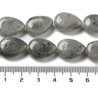 Natural Labradorite Beads Strands G-P528-L03-01-1