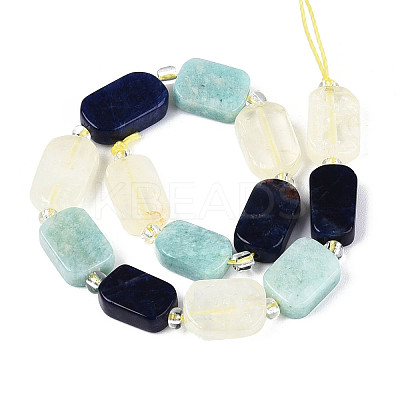 Natural Sodalite & Flower Amazonite & Lemon Quartz Beads Strands G-N358-02A-07-1