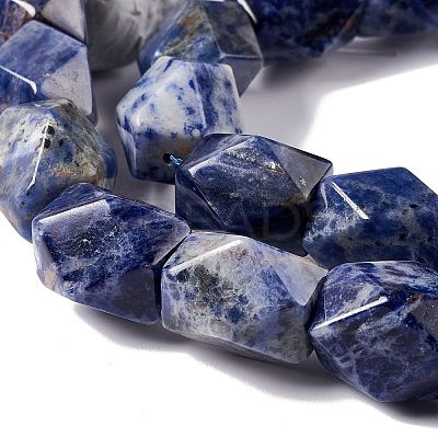 Natural Sodalite Beads Strands G-L235A-15-1