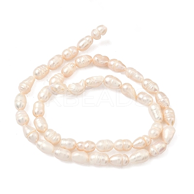 Natural Cultured Freshwater Pearl Beads Strands PEAR-D003-01D-16-1