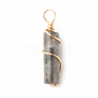 Natural Larvikite Pendants PALLOY-JF01453-05-1