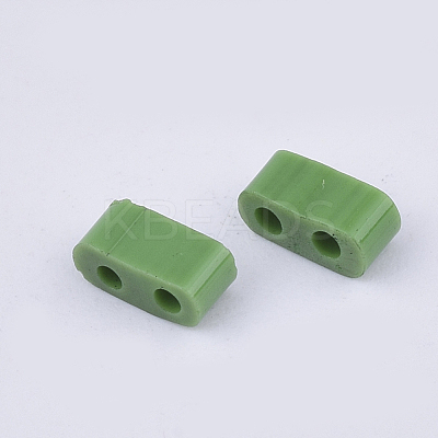 FGB 2-Hole Glass Seed Beads X-SEED-S031-M-047-1