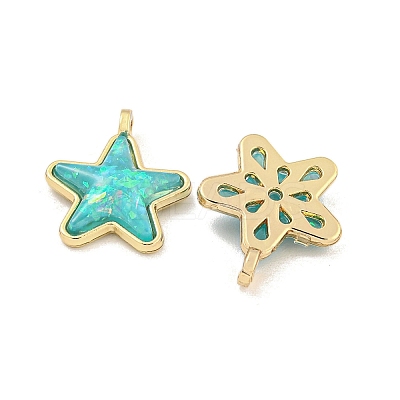 Translucent Resin Pendants KK-M291-24-1