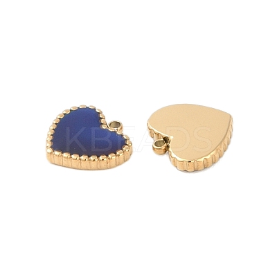 Ion Plating(IP) Temperature Color Change 304 Stainless Steel Enamel Charms STAS-P366-46G-1