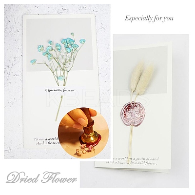 DIY Scrapbook AJEW-WH0100-386-1