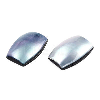 Natural Turbo Cornulus/Top Shells Cabochons SSHEL-N003-153A-1