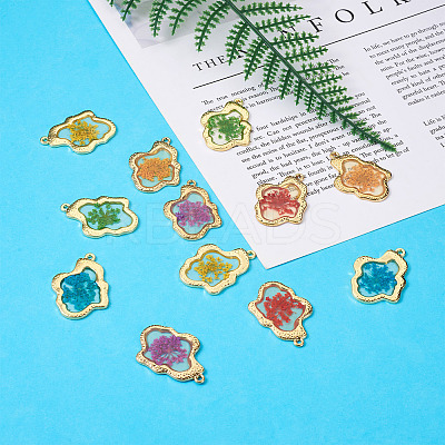 12Pcs 6 Colors Epoxy Resin Pendants RESI-CD0001-05-1