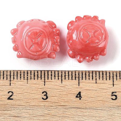 Synthetic Shell Dyed Carved Beads SHEL-H005-13-1