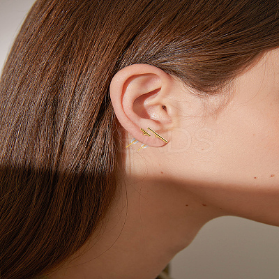 2 Pair Alloy Stick Stud Earrings for Women EJEW-LP0013-03G-1
