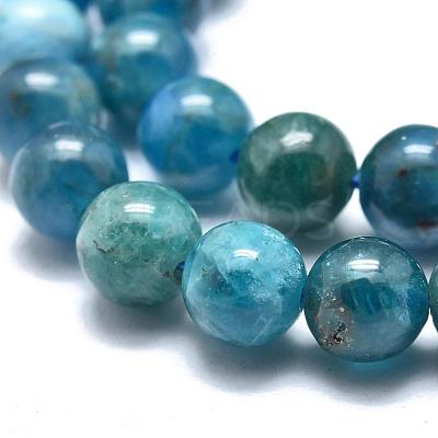 Natural Apatite Beads Strands G-O186-E02-6mm-1