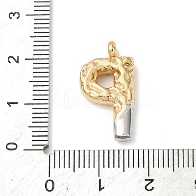 304 Stainless Steel Pendants STAS-Z170-01GP-P-1