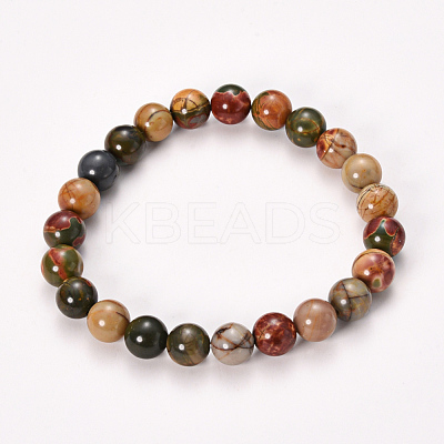 Natural Polychrome Jasper/Picasso Stone/Picasso Jasper Beaded Stretch Bracelets BJEW-Q692-11-8mm-1