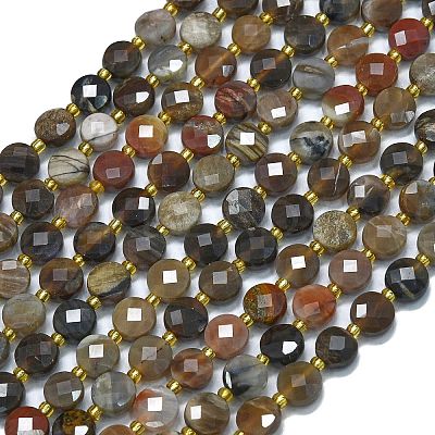 Natural Petrified Wood Beads Strands G-K389-B33-01-1
