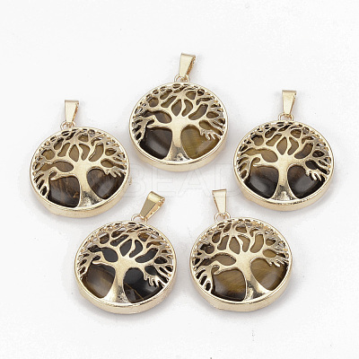 Natural Tiger Eye Pendants G-S292-10E-G-1