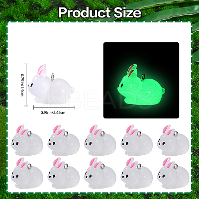 30Pcs Luminous Translucent Resin Pendants RESI-SZ0003-34-1