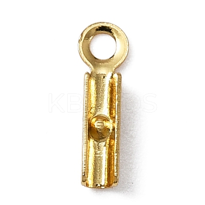 316 Surgical Stainless Steel Folding Crimp Ends FIND-WH0045-45A-1