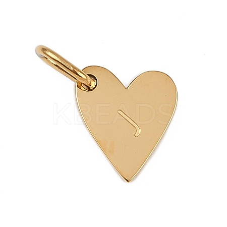 304 Stainless Steel Charms STAS-L291-01G-J-1