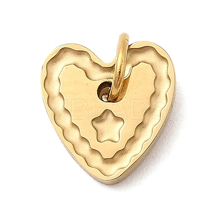 304 Stainless Steel Charms STAS-B093-13G-1