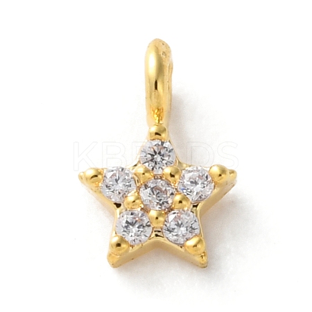 Brass Micro Pave Cubic Zirconia Charms LS-KK-S513-09B-G-1