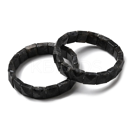 Natural Larvikite Beads Stretch Bracelets for Women Men BJEW-C097-06-06-1