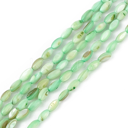 Natural Freshwater Shell Dyed Beads Strands SHEL-M018-13-03-1