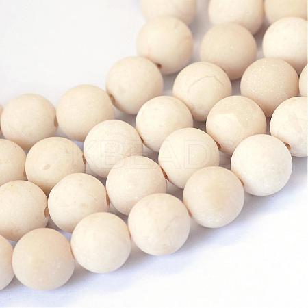 Frosted Natural Fossil Round Bead Strands G-E334-4mm-22-1