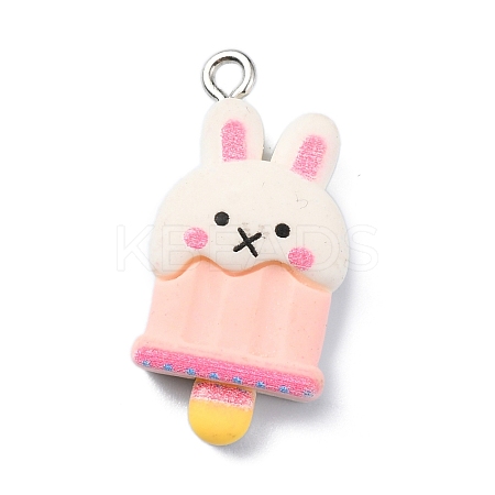Cartoon Opaque Resin Imitation Food Pendants LS-RESI-C043-03A-P-1