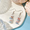Natural Aquamarine & Pink Opal & Howlite Dangle Earrings EJEW-JE06127-03-2