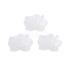 Acrylic Beads OACR-U001-05A-1