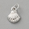 925 Sterling Silver Shell Shape Charms with Jump Rings & 925 Stamp FIND-WH0170-98B-1