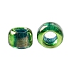 TOHO Round Seed Beads SEED-JPTR15-0249-3