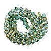 Baking Paint Transparent Glass Beads Strands DGLA-A035-T10mm-A08-3