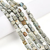 Natural Variscite Beads Strands G-N346-04A-11-1