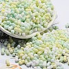 Macaron Color Opaque Frosted Glass Seed Beads SEED-K009-12B-04-1