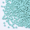 Glass Cylinder Beads SEED-Q036-01A-D11-3