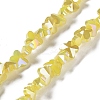 Electroplate Butterfly Glass Beads Strands EGLA-A036-08A-AB03-1