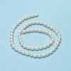 Natural Cultured Freshwater Pearl Beads Strands PEAR-J006-14B-01-3