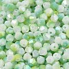 Two Tone Baking Paint Glass Seed Beads SEED-C004-03E-3