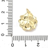 Brass Pendants KK-K417-10G-3