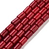 Synthetic Turquoise Beads Strands X-TURQ-G120-4x6mm-07-1